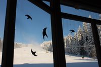Hundseck sonniger Skihang Skiverleih Langlauf Schlittenfahren Hotel in Gernsbach Hazienda Appartments (4)